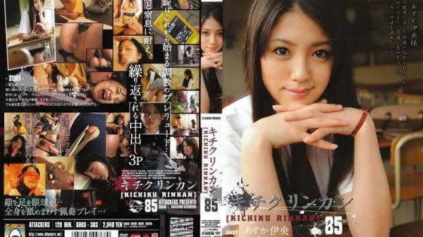 キチクリンカン85SHKD-383